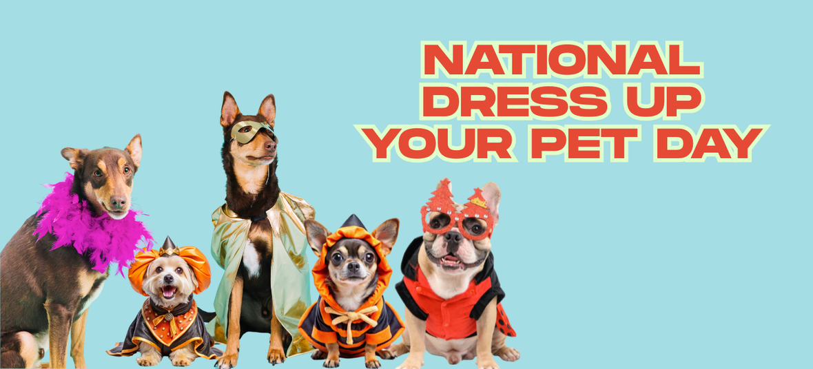 five dressed up dogs posing for a picture