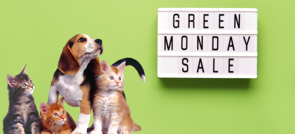 Don’t Get Scammed This Green Monday: How to Spot Fake Pet Meds &amp; Choose a Trusted Online Pharmacy