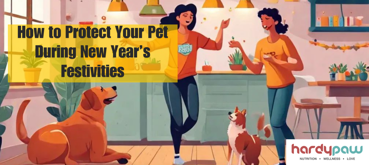 How to Protect Your Pet During New Year’s Festivities