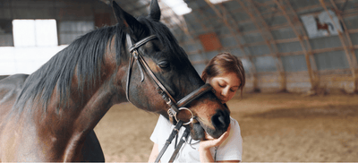 How to Treat and Prevent Ulcers in Horses: Symptoms, Causes, Diet & EGUS Guide