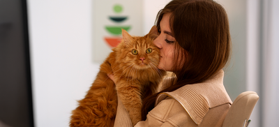 Hug Your Cat Day Guide: Comfort, Care & Must-Have Cat Products