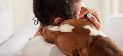 a woman hugging her pet pitbull