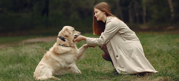 National Holistic Pet Day