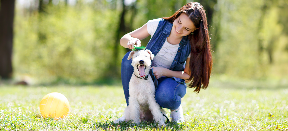 National Pet Wellness Month