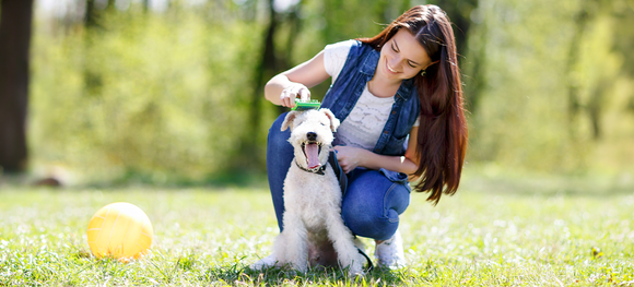 National Pet Wellness Month