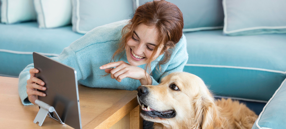 New Arrival Products at HardyPaw: What's New for Pets