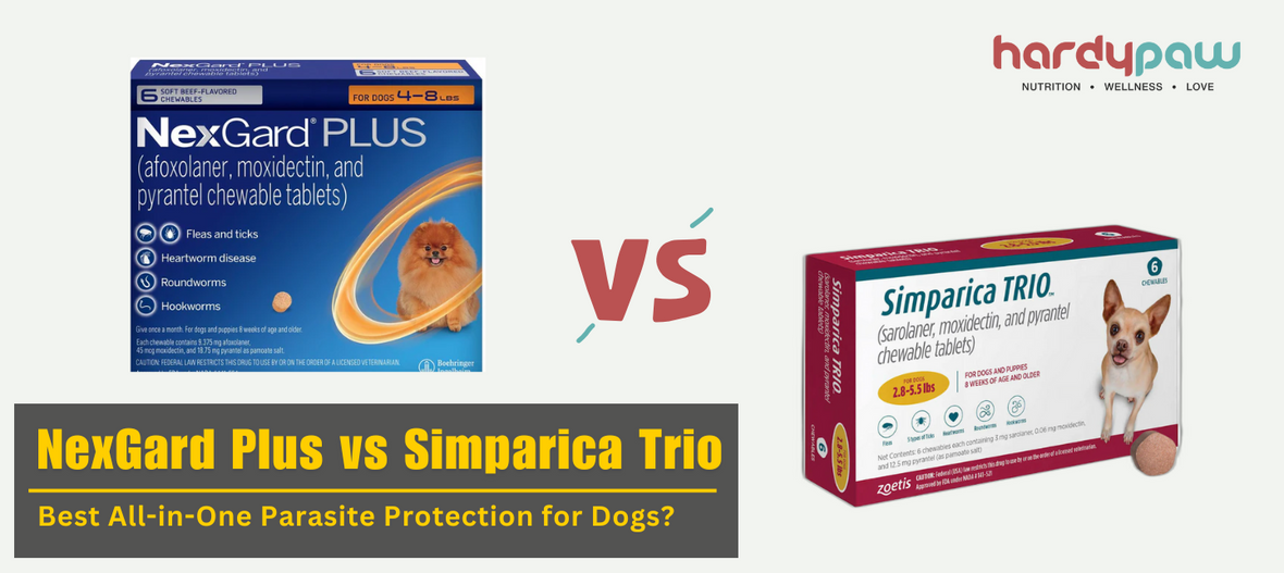 NexGard Plus vs Simparica Trio - Which Is the Best Parasite Preventative for Dogs?