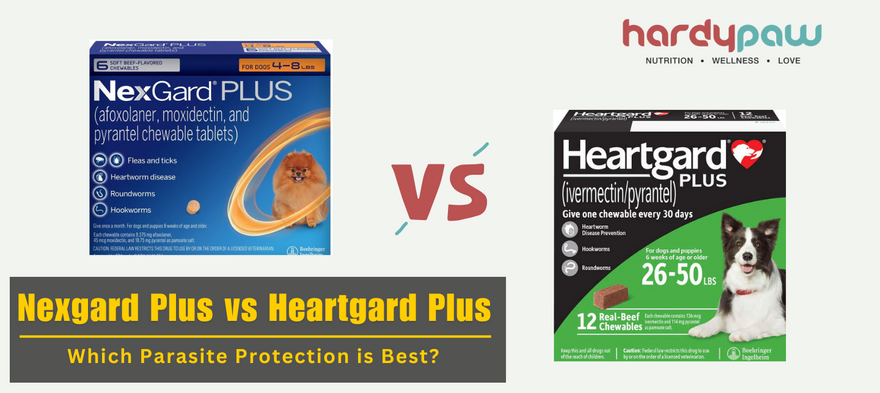 NexGard Plus vs Heartgard Plus - Which Parasite Protection Is Best?