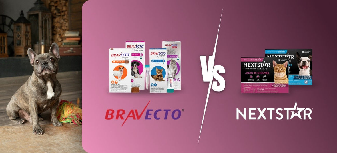 Bravecto vs NextStar: Which Flea & Tick Treatment Is Right for Your Pet?