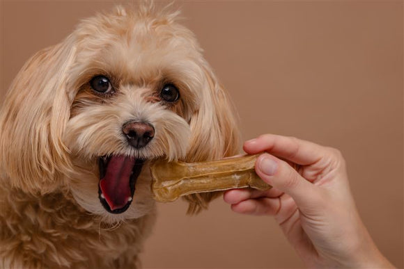 dog eating peanut butter treat