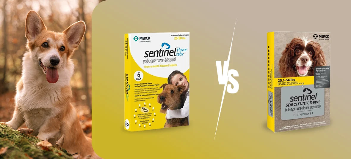 Sentinel vs Sentinel Spectrum: Which One Is Right for Your Dog?