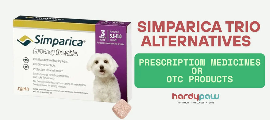 Best Simparica Trio Alternatives for Dogs: Prescription & Non-Rx Picks