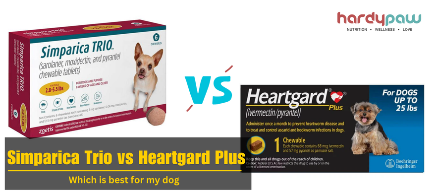 Simparica Trio vs Heartgard Plus - What’s Best for Your Dog?