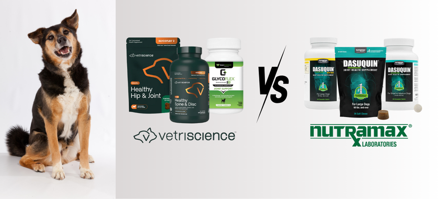 Top Joint Health for Dogs Comparison: Nutramax vs VetriScience