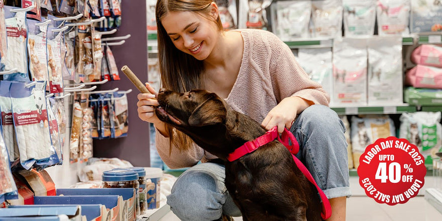 Top Pet Finds in the Labor Day Sale 2025