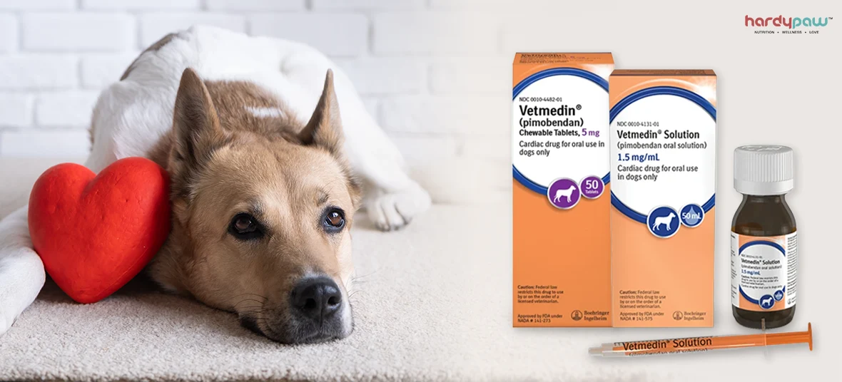 Vetmedin (Pimobendan) for Dogs: Uses, Forms & What Pet Parents Should Know