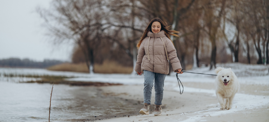 Walking the Dog Day: Walking the Dog Day Prep for a Fun Celebratory Walk