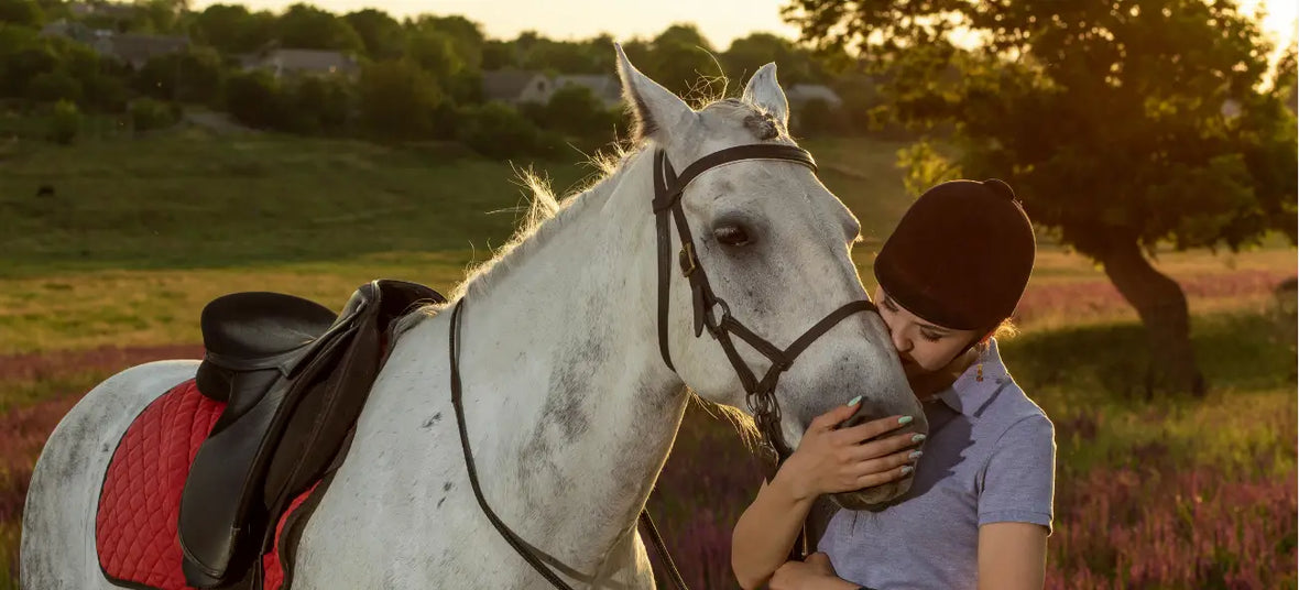 A Simple Guide to Horse Health Supplements