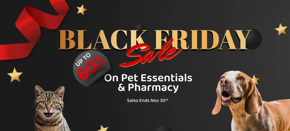 black friday sale
