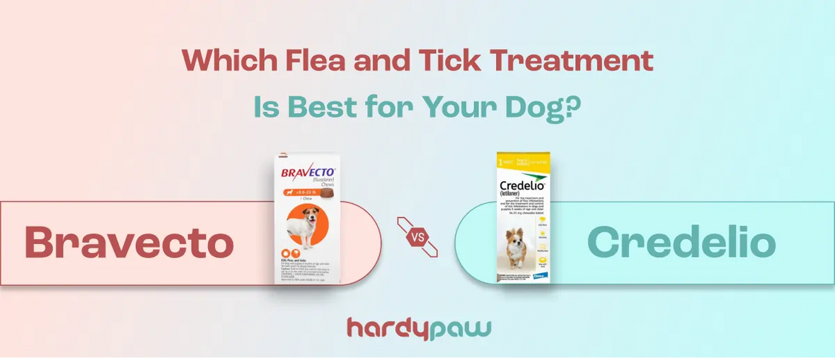 Bravecto vs Credelio