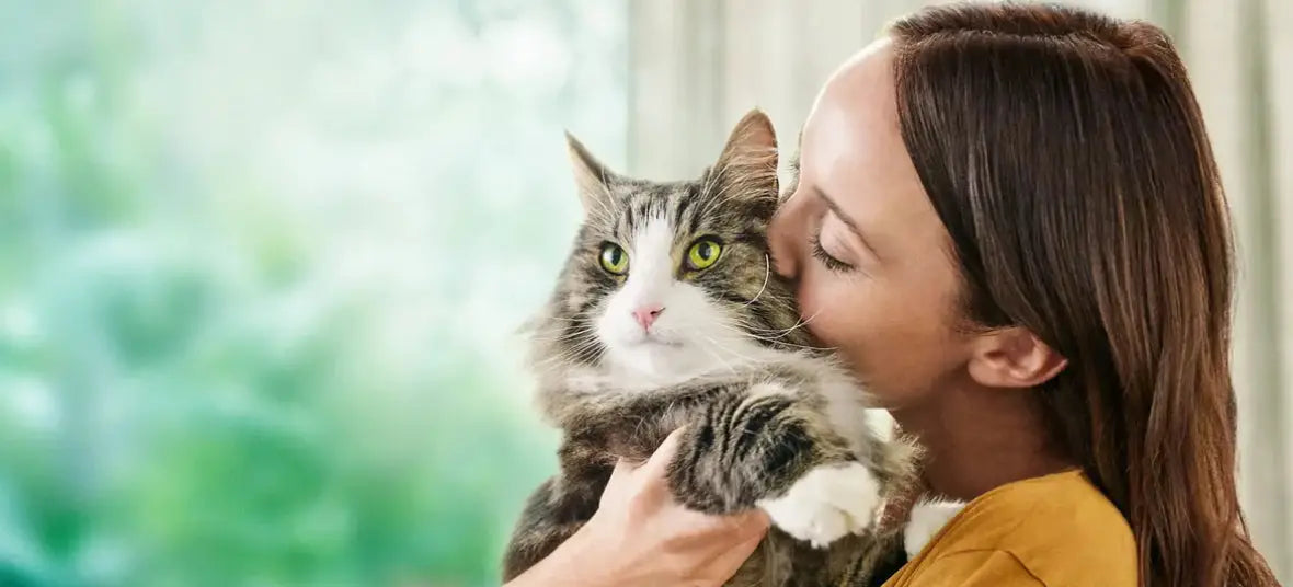 Celebrate International Cat Day with HardyPaw: Purr-fect Gifts for Your Feline Friends!