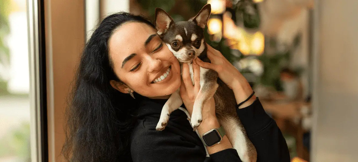 Celebrate International Chihuahua Appreciation Day with These 5 Healthy Treats