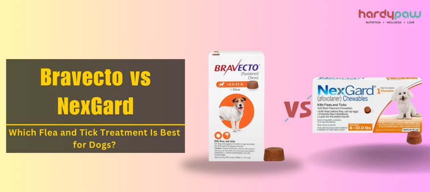 Bravecto vs NexGard: Which Flea and Tick Treatment Is Best for Dogs?