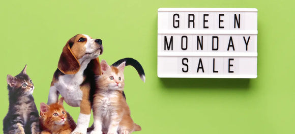 Don’t Get Scammed This Green Monday: How to Spot Fake Pet Meds & Choose a Trusted Online Pharmacy