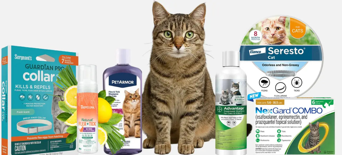 Cat sitting with dome flea&tick preventive products