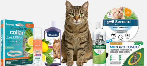 Flea Shampoo vs Spot‑Ons vs Collars - Which Works Best for Your Cat?