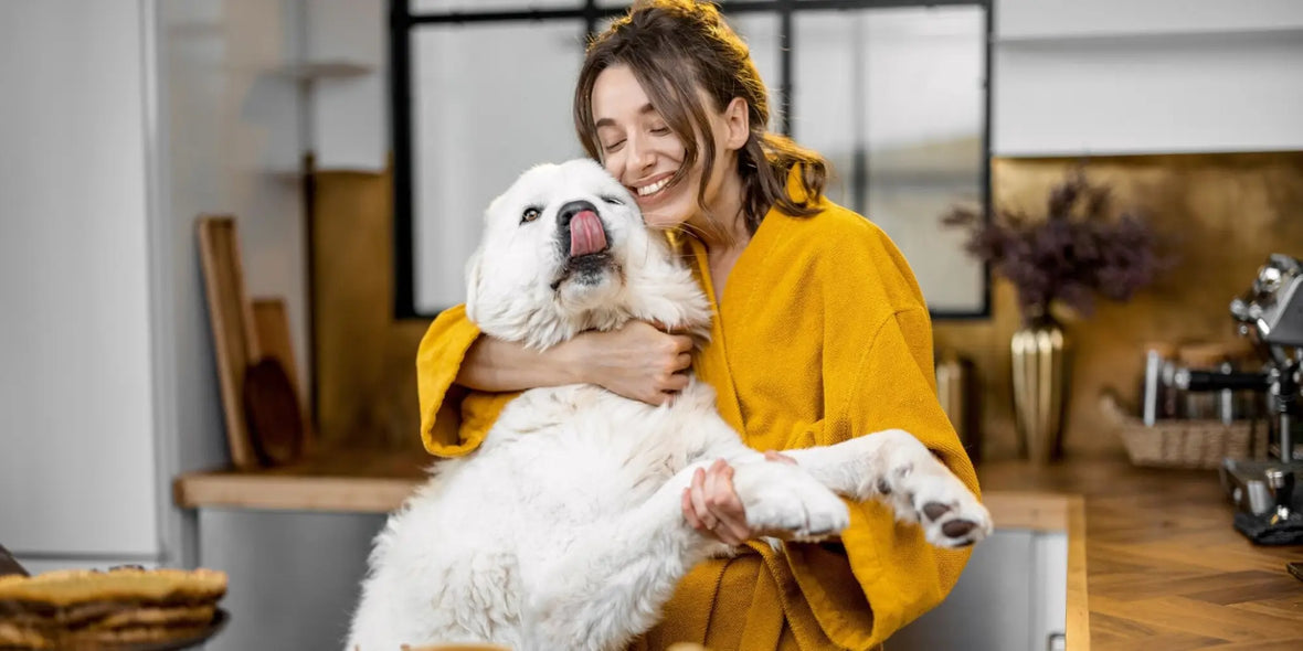 Functional Treats That Target Joint Gut or Skin Health