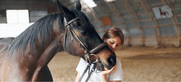 How to Treat and Prevent Ulcers in Horses: Symptoms, Causes, Diet & EGUS Guide