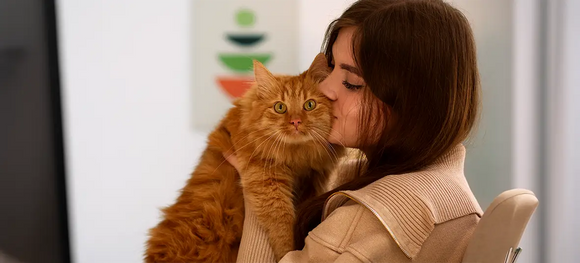 Hug Your Cat Day Guide: Comfort, Care & Must-Have Cat Products