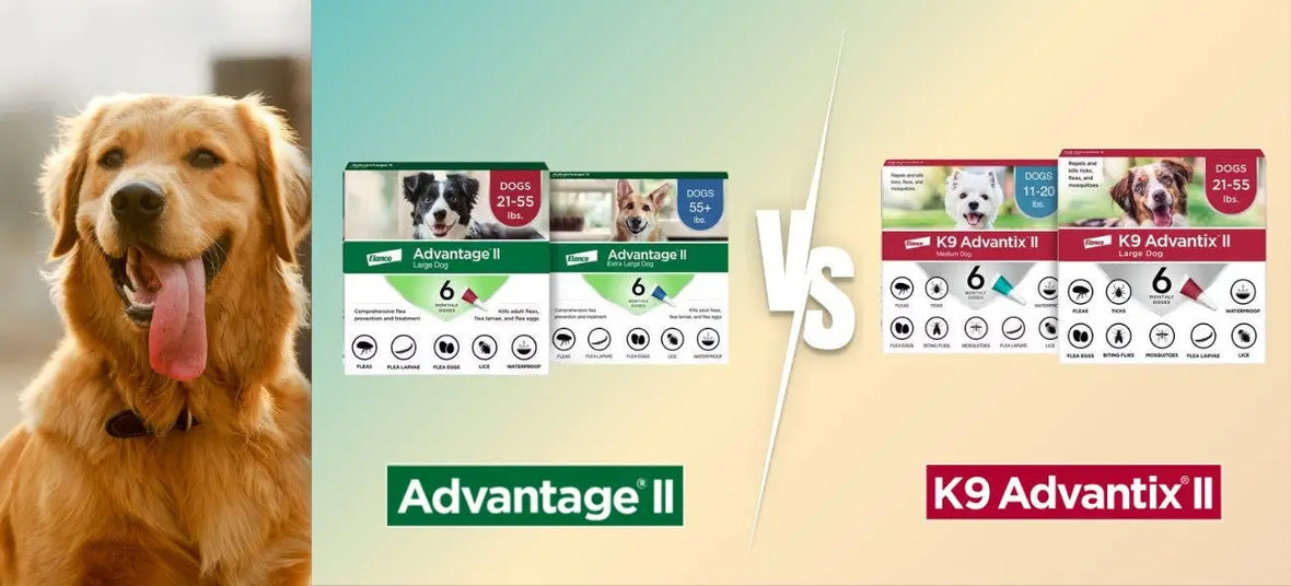 Best Flea and Tick Treatment for Dogs