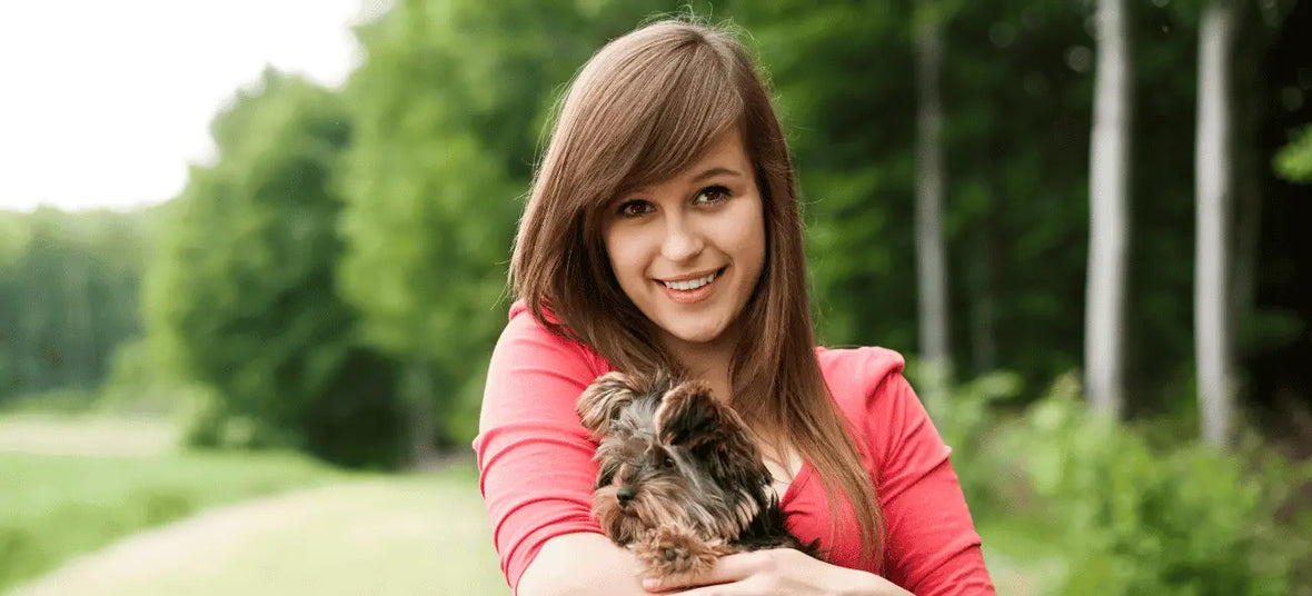 National Adopt a Shelter Pet Day: Adoption Guide Tips & Pet Essentials