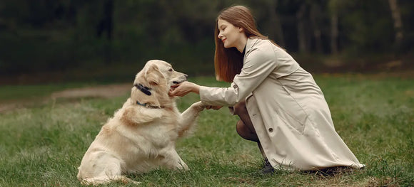 National Holistic Pet Day