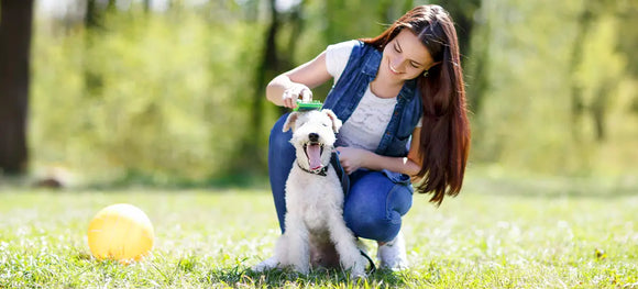 National Pet Wellness Month