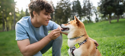Spoil Your Dog Day