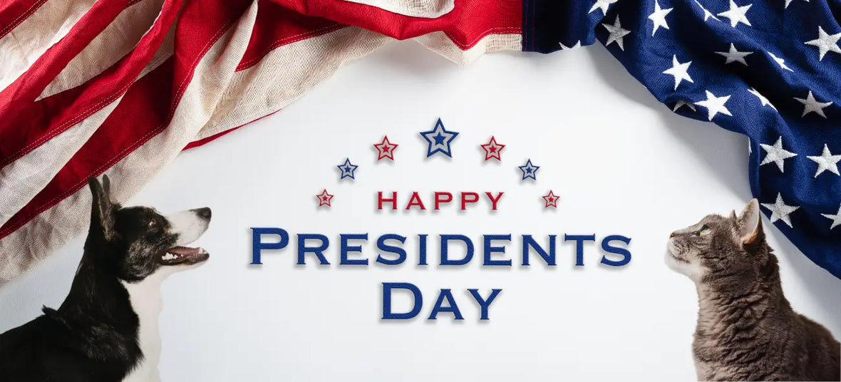 President's Day Banner with AMerican flag and a dog & a cat sitting in front