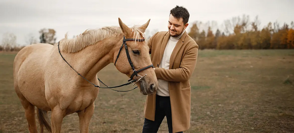 Probiotics for Horses: Everything You Need to Know About Horse Probiotic Supplements