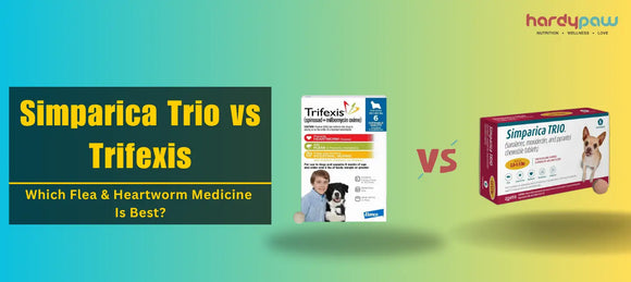 Simparica Trio vs Trifexis - Which Flea & Heartworm Medicine Is Best?