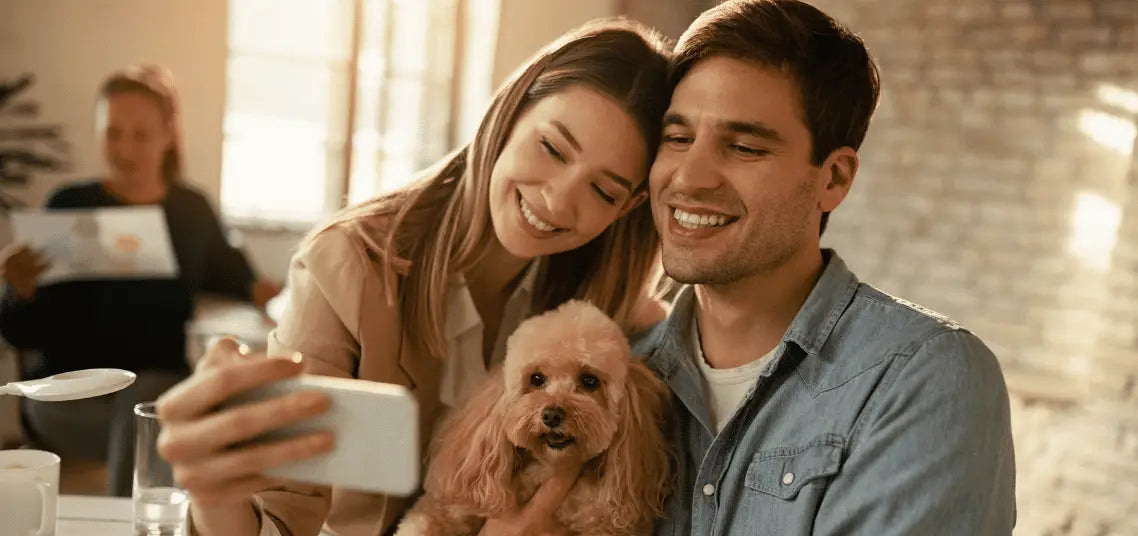 Take Your Pet to Work Week 2026: Dates Preparation and Pet-friendly Office Tips