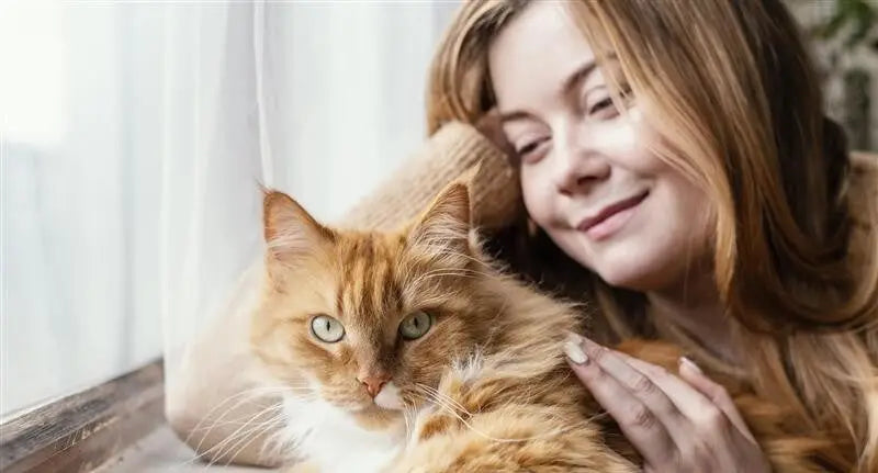 The Only Cat Care Guide for First-Time Cat Parents