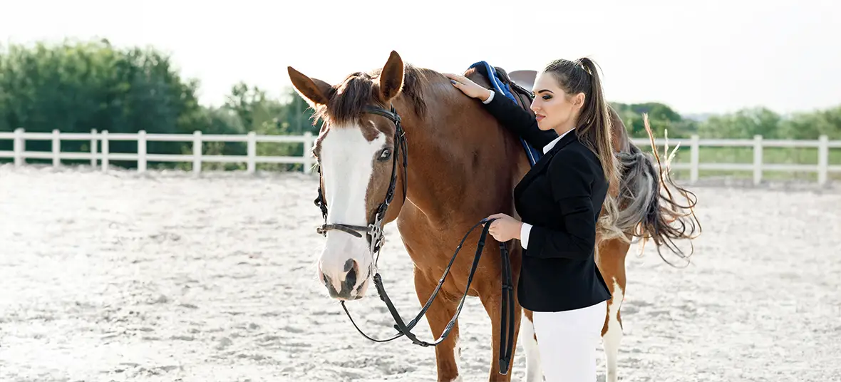 Top 10 Calming Supplements for Horses That Work in 2026