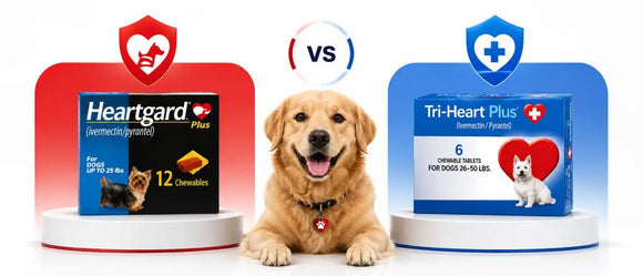 Tri-Heart Plus vs Heartgard Plus - Which Heartworm Medication Is Best for Your Dog?