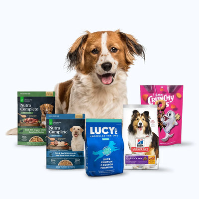Dry Dog Food