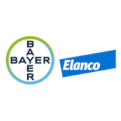 Elevate Pet Health with Bayer Products: Trusted Solutions available at HardyPaw