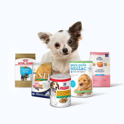 Puppy Food