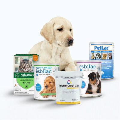 Puppy Milk Replacers
