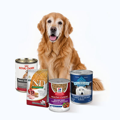 Senior Dog Food